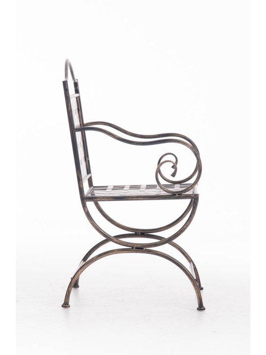 Voorzitter Lotta, brons