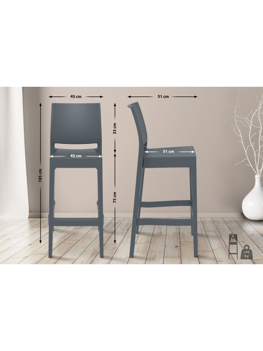 Set van 2 barkrukken Maya, donkergrijs