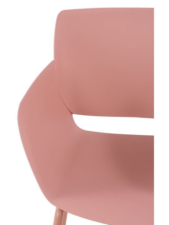 Voorzitter Alpena, roze Voorzitter Alpena, roze