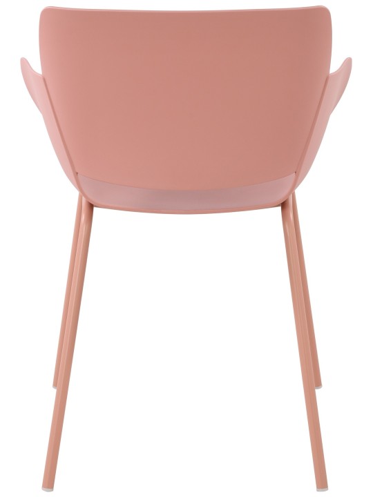 Voorzitter Alpena, roze Voorzitter Alpena, roze