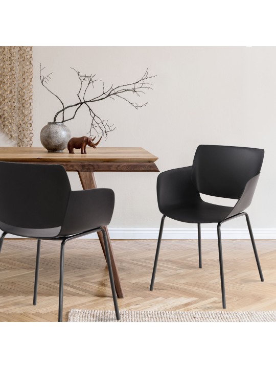 Set van 2 stoelen Alpena, zwart