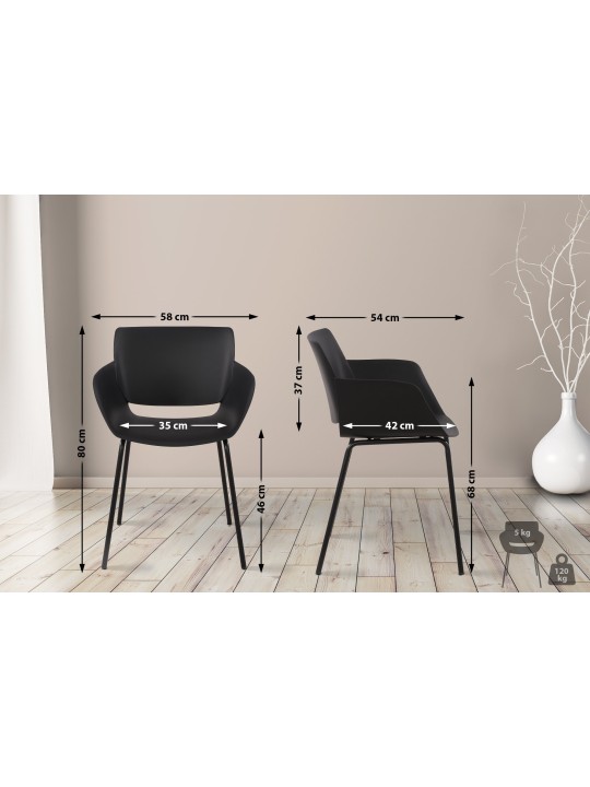 Set van 2 stoelen Alpena, zwart