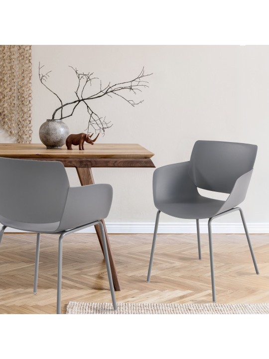 Set van 2 stoelen Alpena, donkergrijs